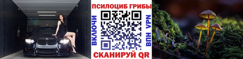 Псилоцибиновые грибы Magic Shrooms  Мамоново 